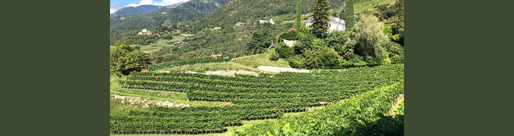 Tenuta Schweitzer