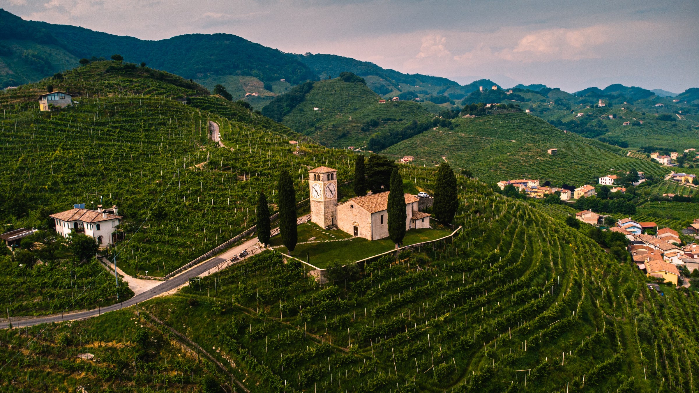 Wines from Venezia