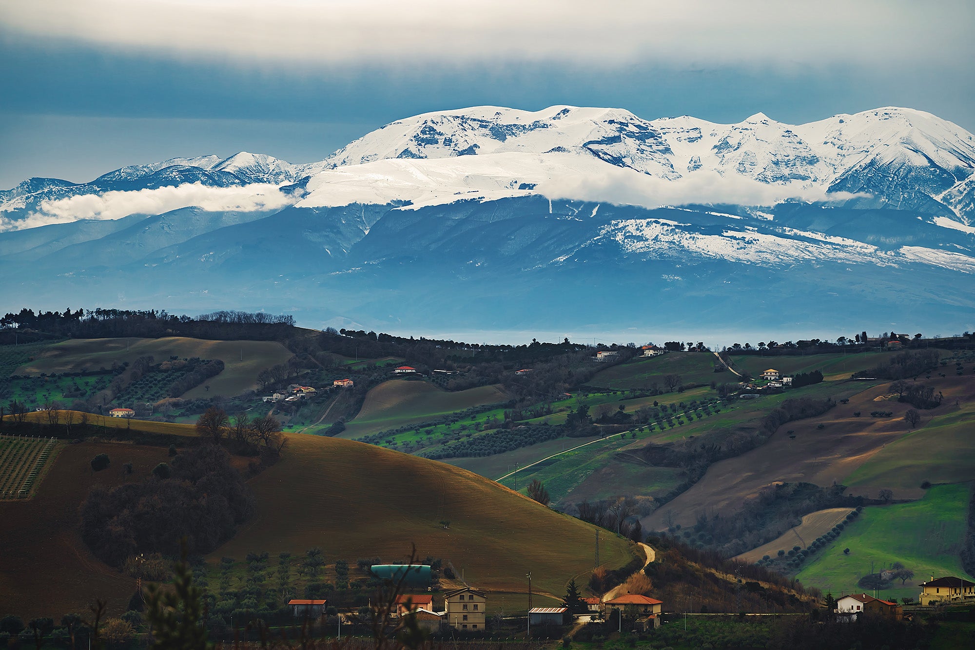 Wines from Abruzzo