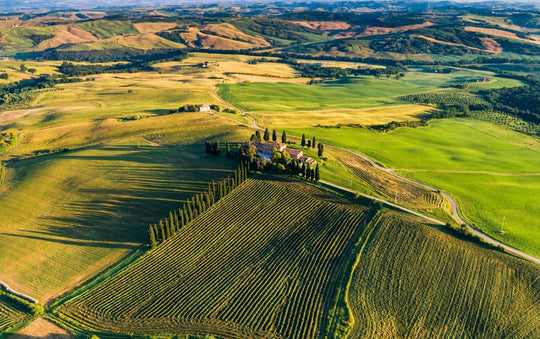 Italien - Das Weinparadies Europas