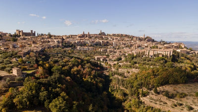 Tenuta Luce