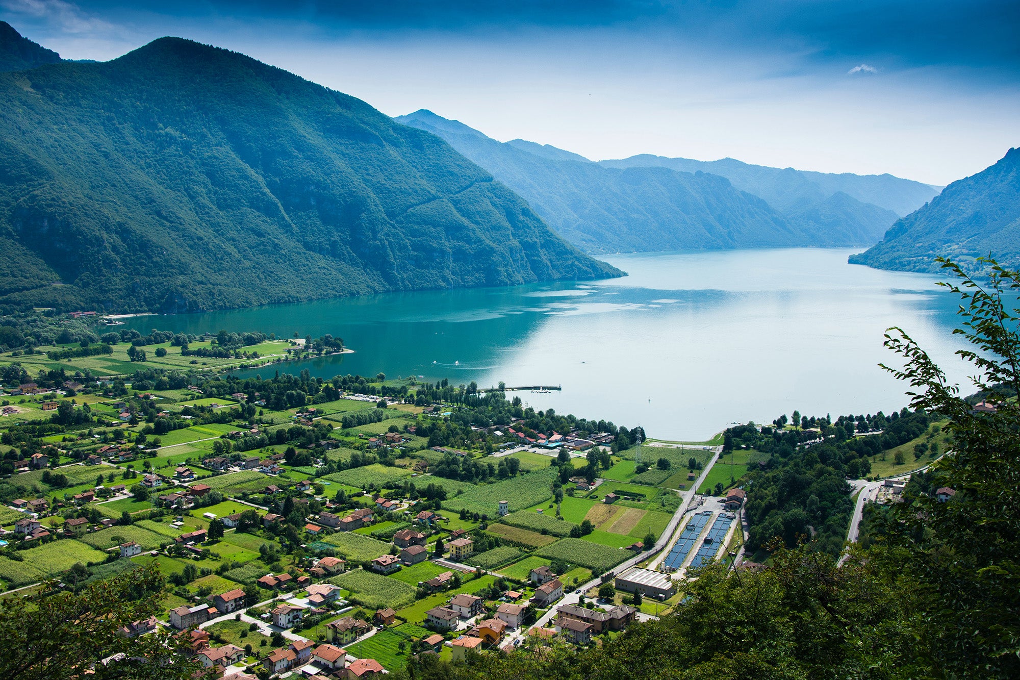 Wines from Lombardia