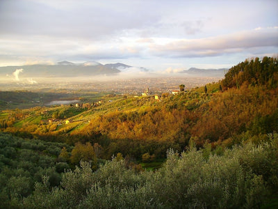 Fattoria di Petrognano