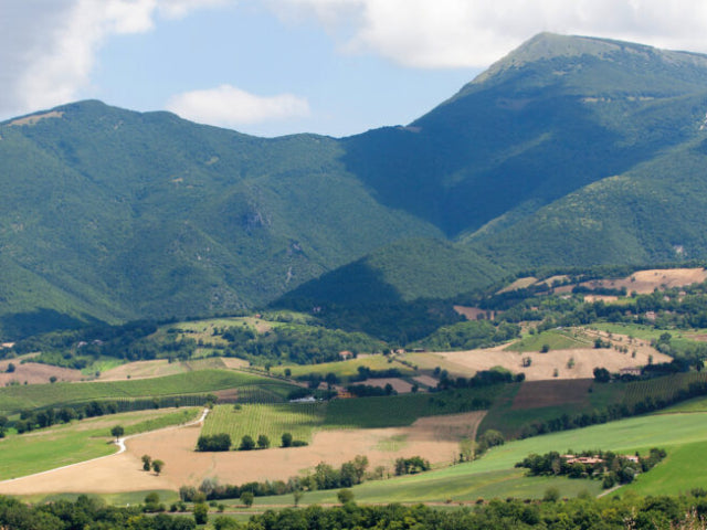 Cavalieri