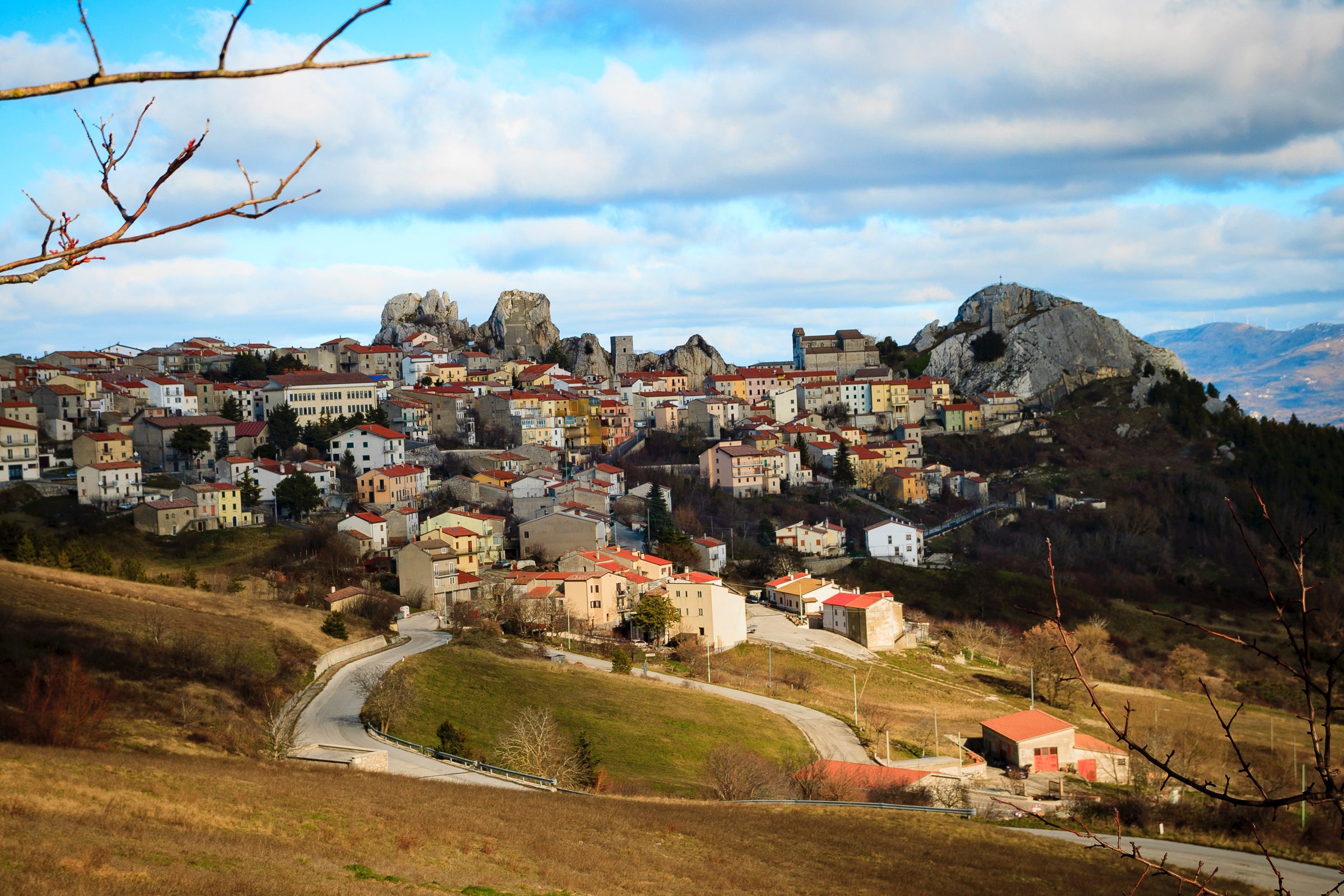 Wines from Molise