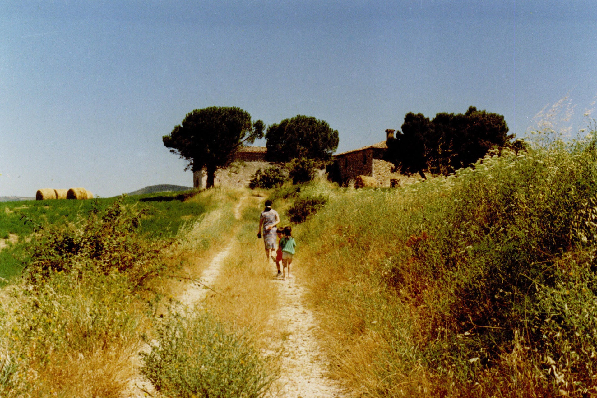 Peppucci