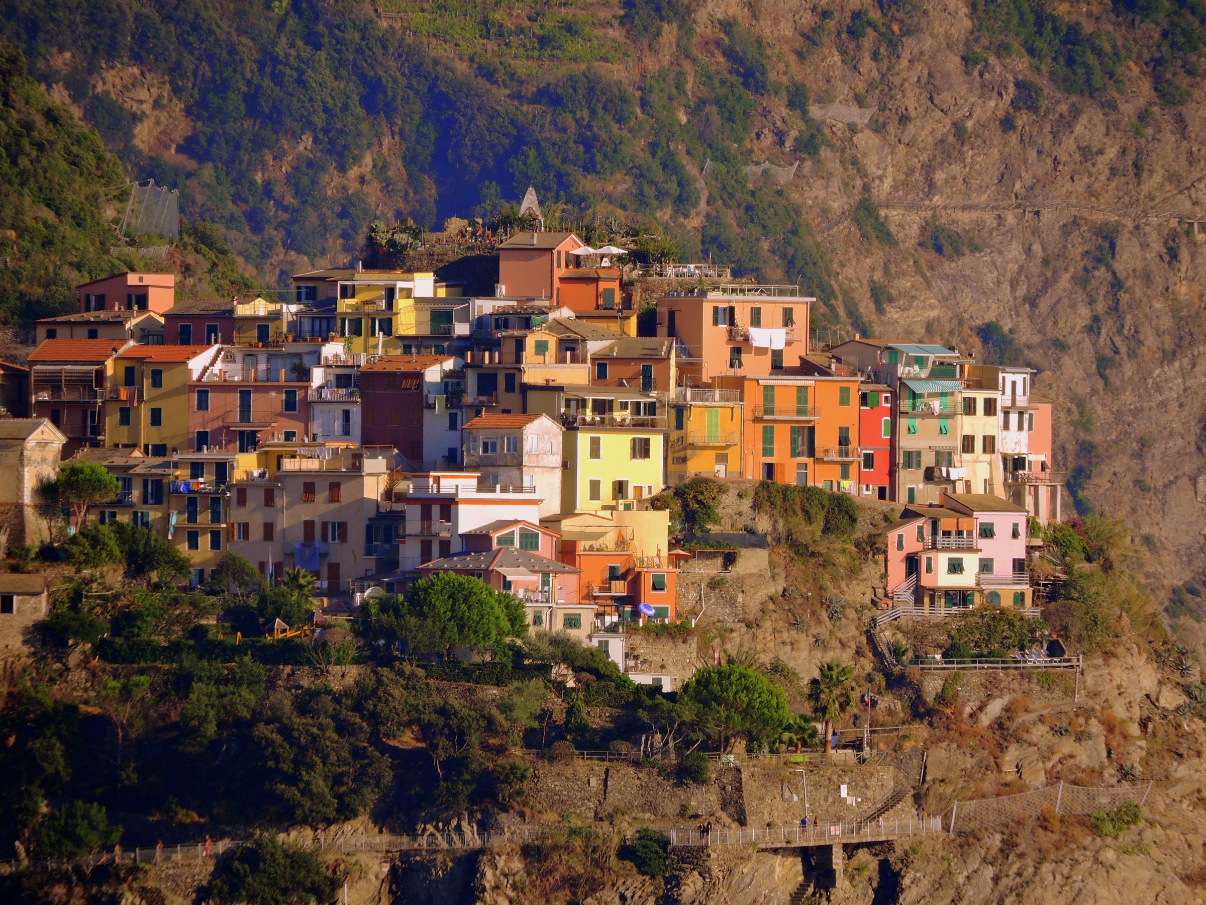 Wines from Liguria