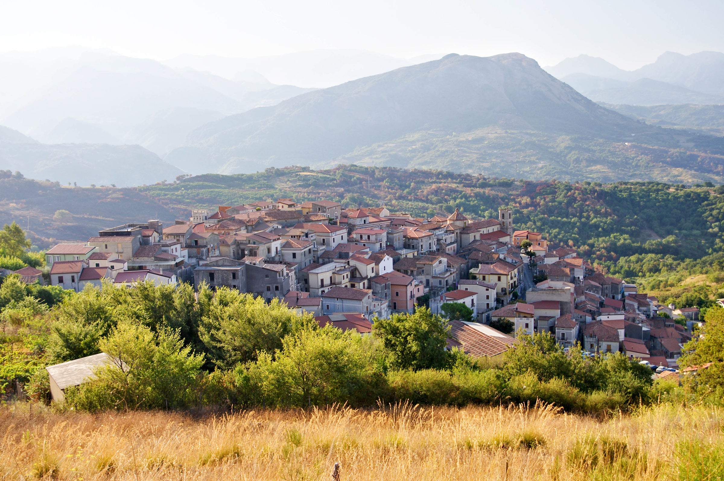 Wines from Calabria