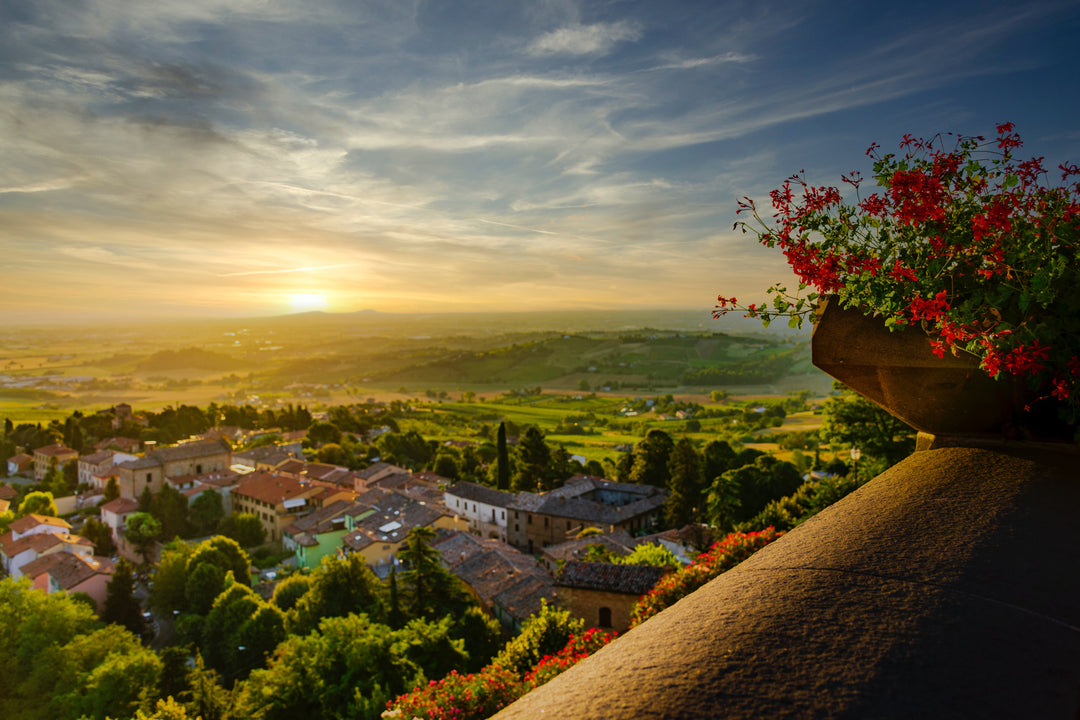 Wines from Emilia-Romagna