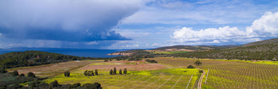 Cantina Giba