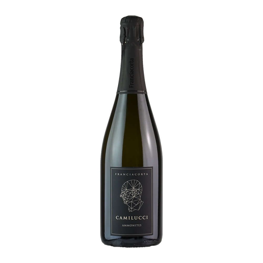 Camilucci AMMONITES Franciacorta Brut DOCG | Sparkling Wine SFr. 24